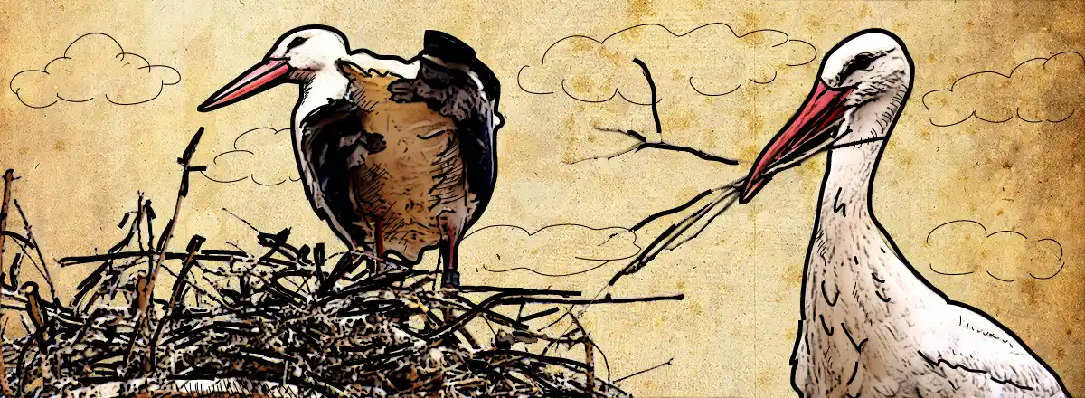 Ilustrační obrázek na horním panelu stránky