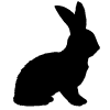 Větší obratlovci