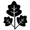 Listí