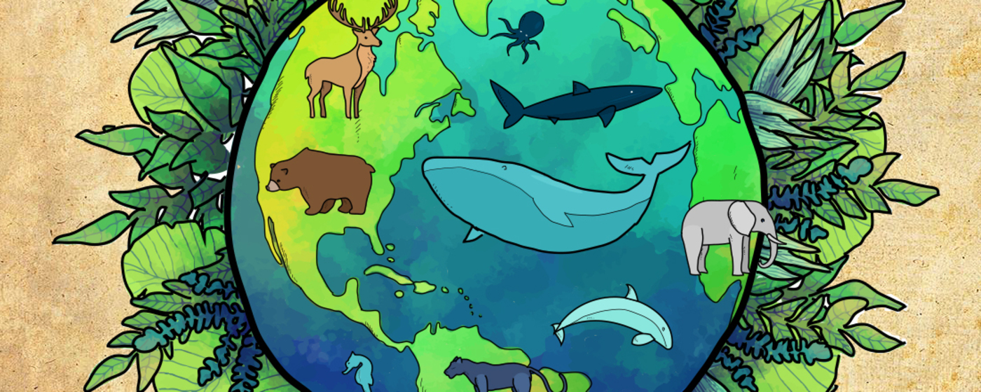 Ilustrační obrázek na horním panelu stránky
