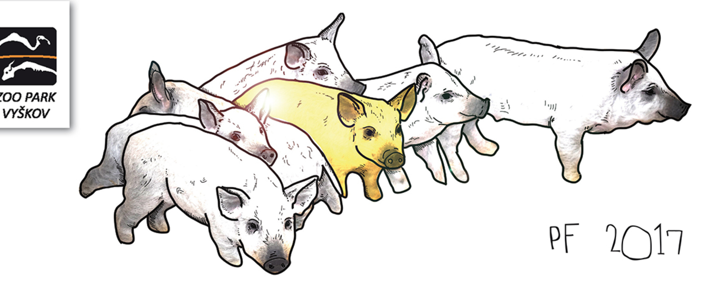 Ilustrační obrázek na horním panelu stránky