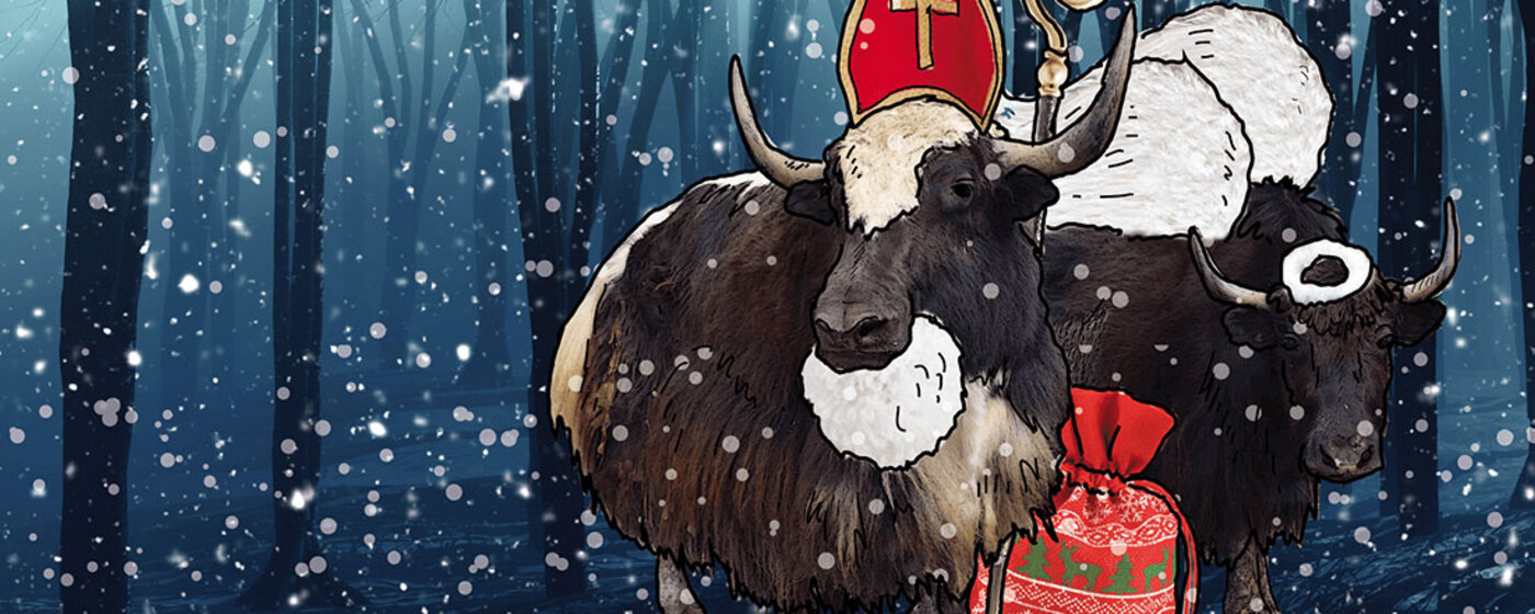 Ilustrační obrázek na horním panelu stránky
