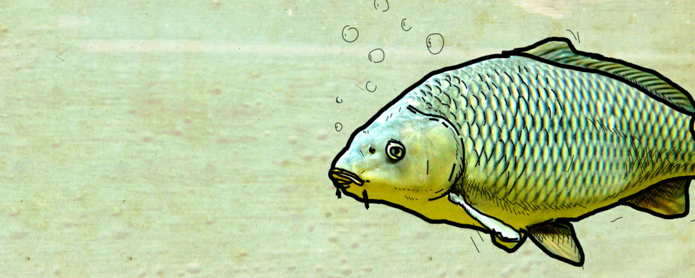 Ilustrační obrázek na horním panelu stránky
