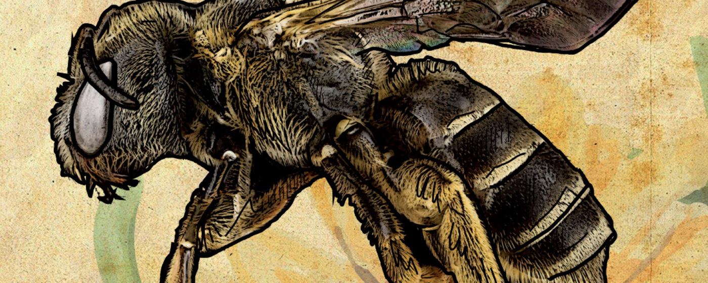 Ilustrační obrázek na horním panelu stránky