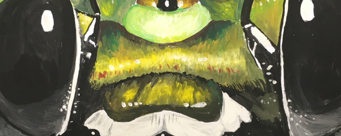 Ilustrační obrázek na horním panelu stránky