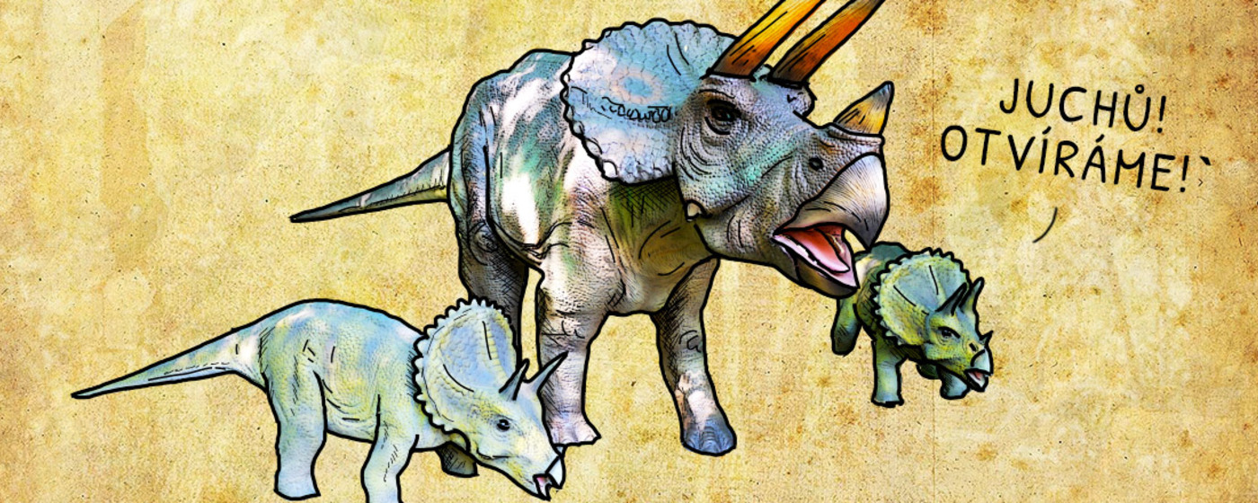 Ilustrační obrázek na horním panelu stránky