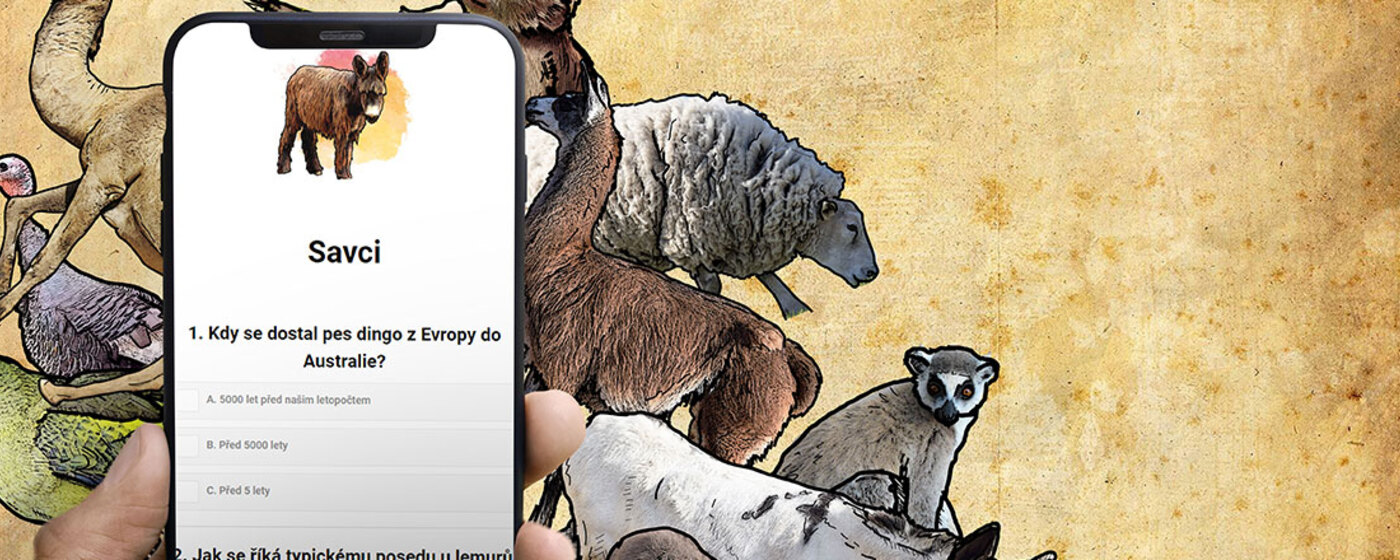 Ilustrační obrázek na horním panelu stránky