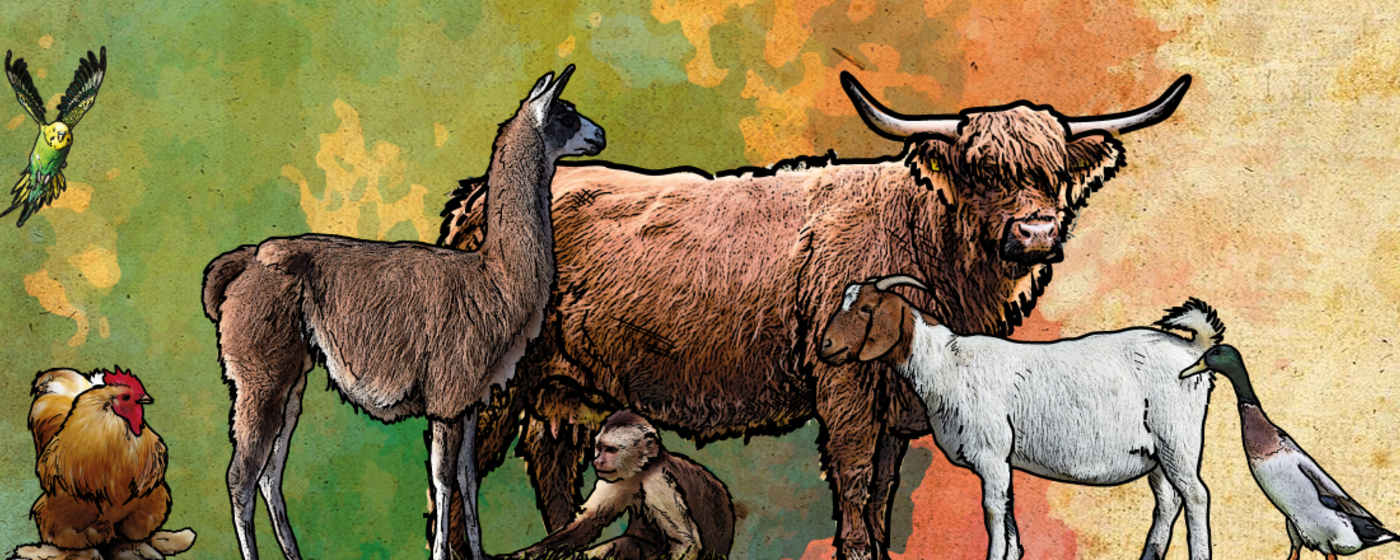 Ilustrační obrázek na horním panelu stránky