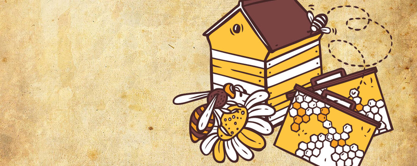 Ilustrační obrázek na horním panelu stránky