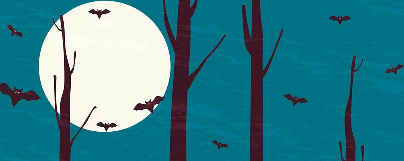 Ilustrační obrázek na horním panelu stránky
