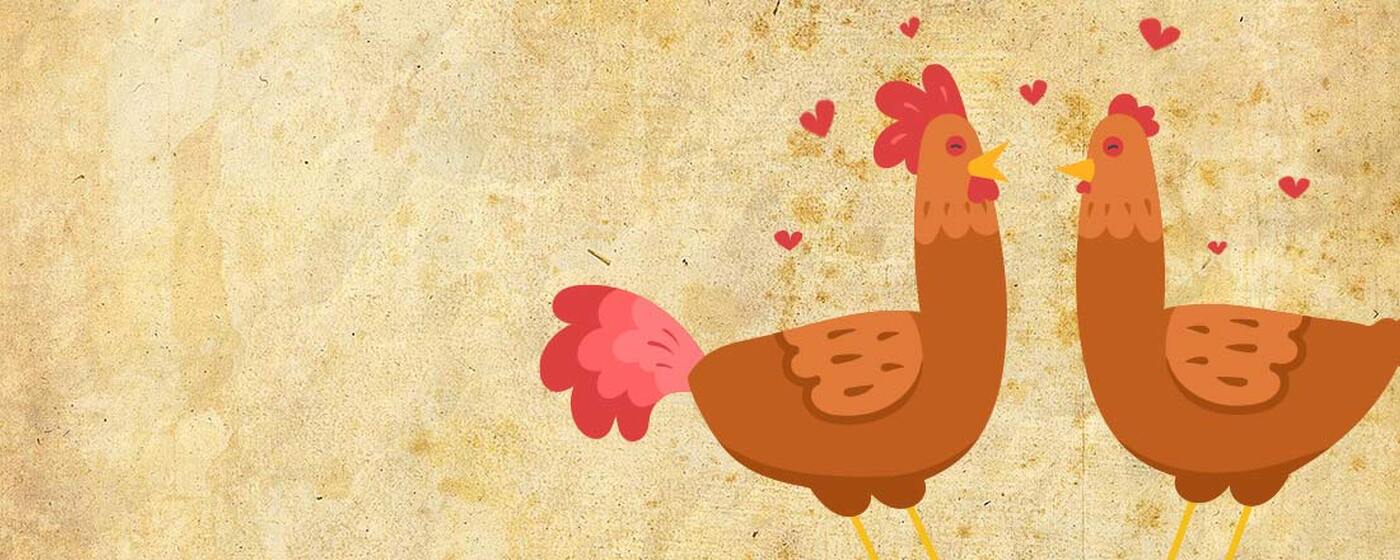 Ilustrační obrázek na horním panelu stránky