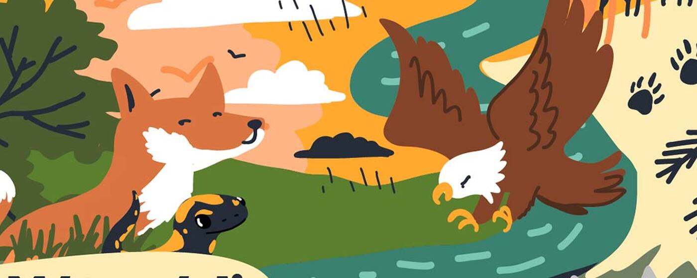 Ilustrační obrázek na horním panelu stránky
