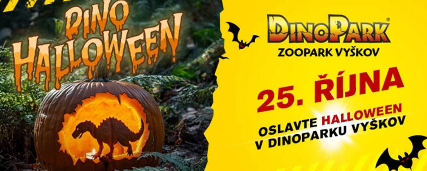 Ilustrační obrázek na horním panelu stránky