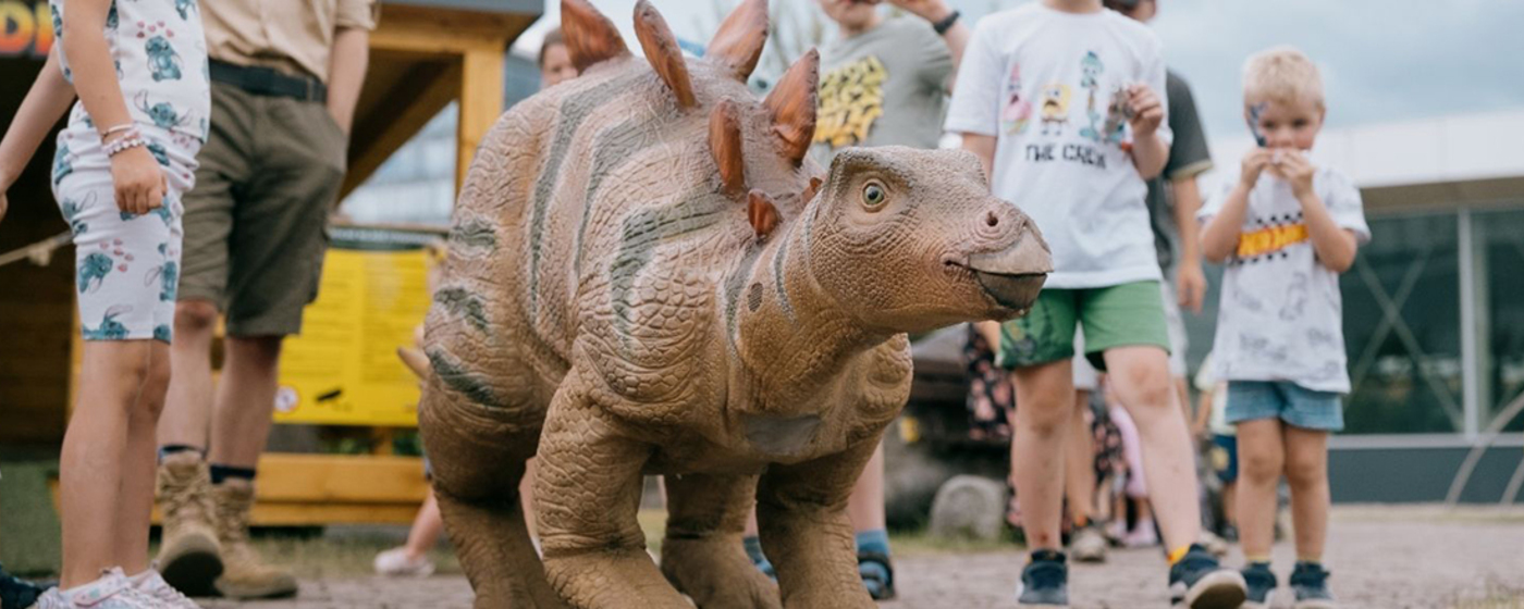 Ilustrační obrázek na horním panelu stránky