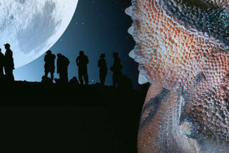 Noční prohlídky DinoParku