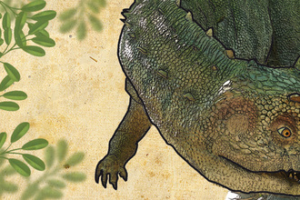 Sezóna 2018 v  Dinoparku Vyškov