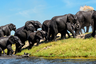 Zimbabwe a delta Okavango - Kateřina Chauveau