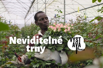 Neviditelné trny - výstava na stromech