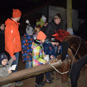 Fotografie 178