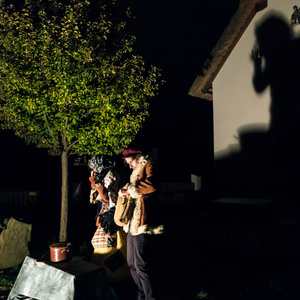 Fotografie 798