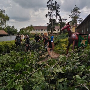 Fotografie 880
